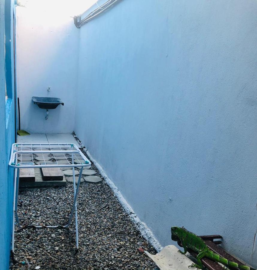 Apartamento Blue Horse Pipa Lejlighed Praia de Pipa Eksteriør billede